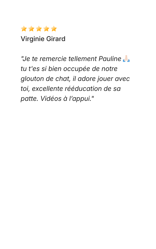 Avis Dog Love Petsitter "Je te remercie tellement Pauline 🙏🏻 tu t'es si bien occupée de notre glouton de chat, il adore jouer avec toi, excellente rééducation de sa patte. Vidéos à l’appui."